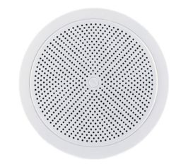 Потолочные громкоговорители