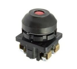 Кнопка нажимная в сборе