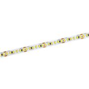 Лента светодиодная 5м SMD2835 10мм 14Вт/м 24В холодный белый IP20 168LED/м