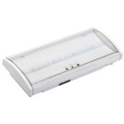 Светильник аварийный ДПА 5040-1 постоянный 1ч IP54