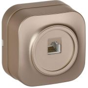 GLORY Розетка для открытой установки компьютерная RJ45 кат.5E РК10-ХШм шампань матовый IEK