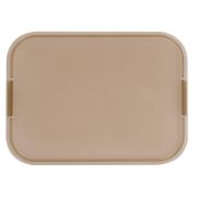 Стекло для электрощитов пластиковое