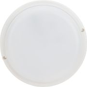 Светильник светодиодный настенно-потолочный для ЖКХ ДБП-25Вт 4000K 2500 Лм IP65 круг