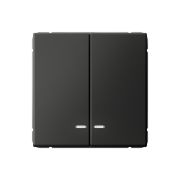 ARTGALLERY 2-клавишный ВЫКЛЮЧАТЕЛЬ с подсветкой, сх.5а, 10АХ, механизм, быстрозажимные клеммы, БАЗАЛЬТ