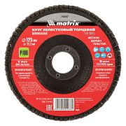 Круг лепестковый торцевой, P 100, 125 х 22,2 мм