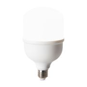 Лампа светодиодная T100 30Вт 4000К E27 IP20